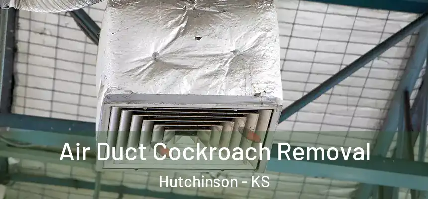  Air Duct Cockroach Removal Hutchinson - KS