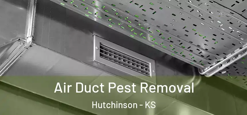  Air Duct Pest Removal Hutchinson - KS