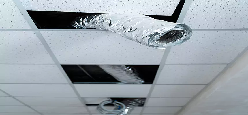 Our Air Duct Pet Hair Removal Services in Hutchinson, KS