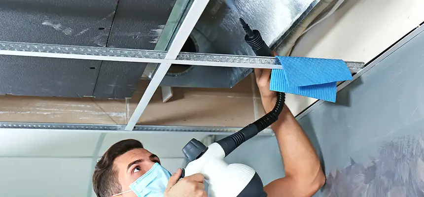 Our Air Duct Rodent Removal Services in Hutchinson, KS