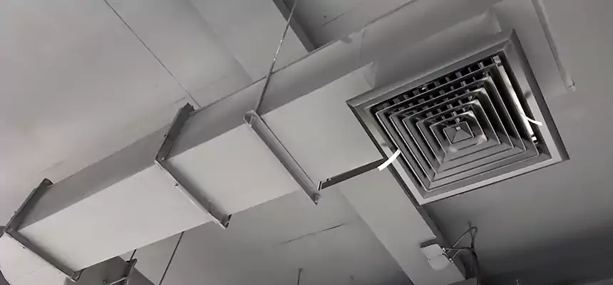 Our Pest Removal From Ducts Services in Hutchinson, KS