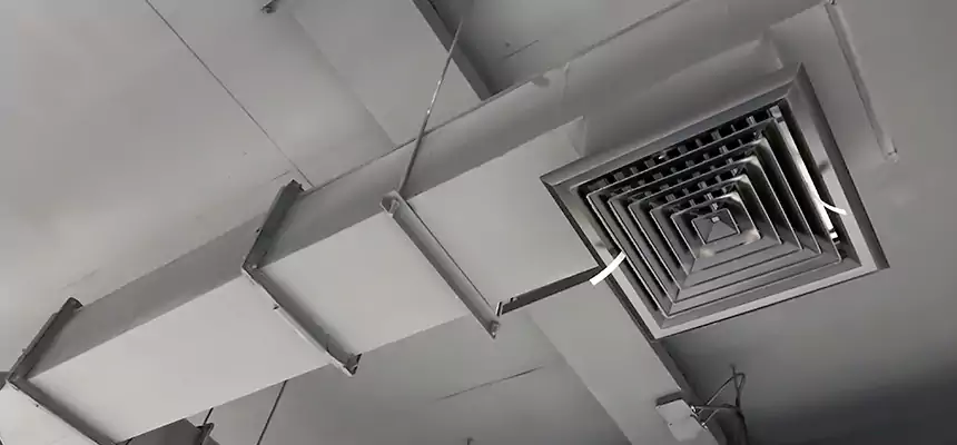 Our Rodent Droppings In Vents Services in Hutchinson, KS