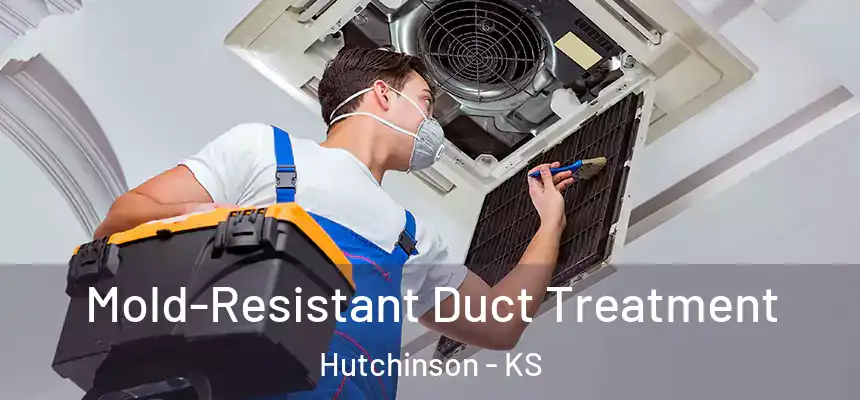 Mold-Resistant Duct Treatment Hutchinson - KS