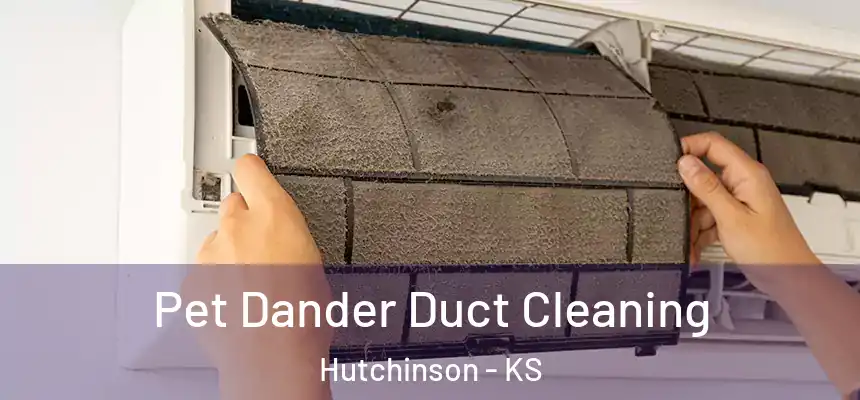  Pet Dander Duct Cleaning Hutchinson - KS