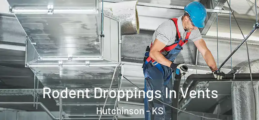 Rodent Droppings In Vents Hutchinson - KS