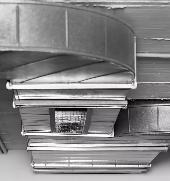 Professional Air Duct Pest Removal in Hutchinson, KS