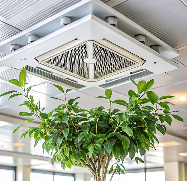 Why Homeowners & Businesses Trust Us in Hutchinson, KS?